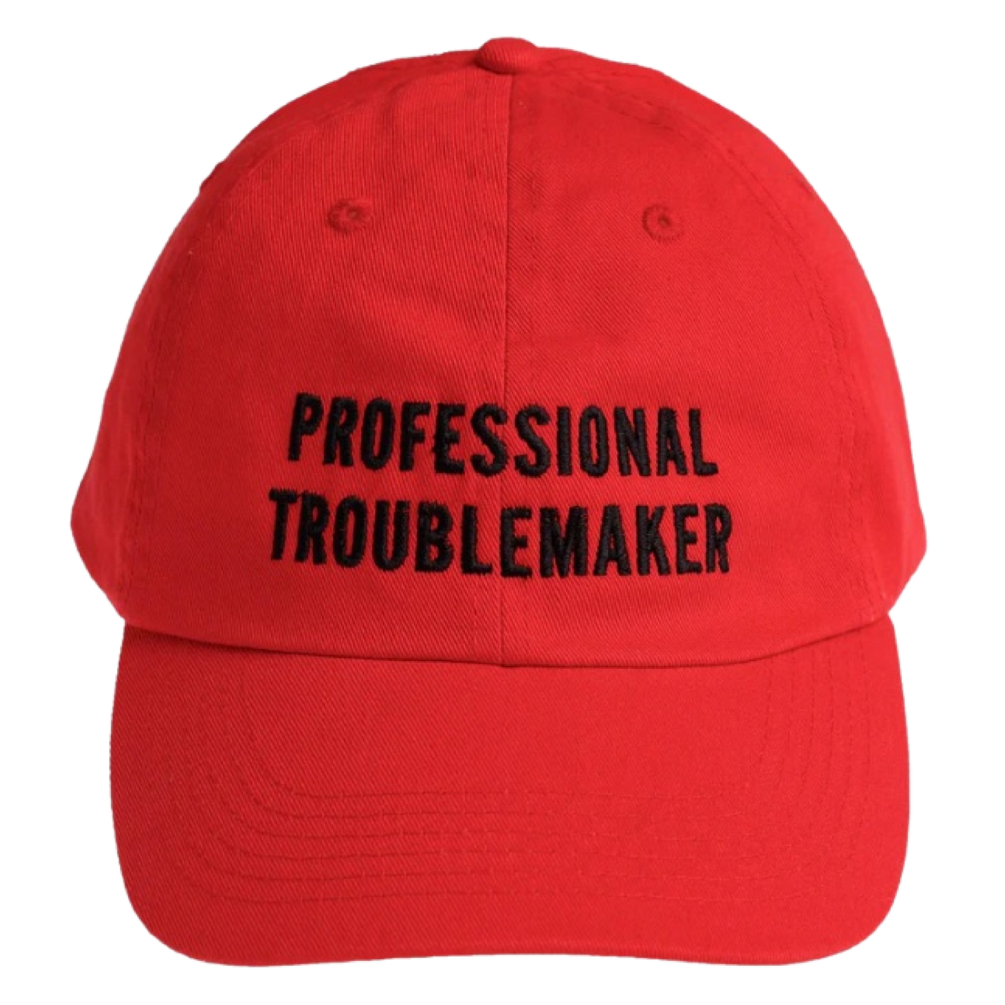 Professional Troublemaker Hat