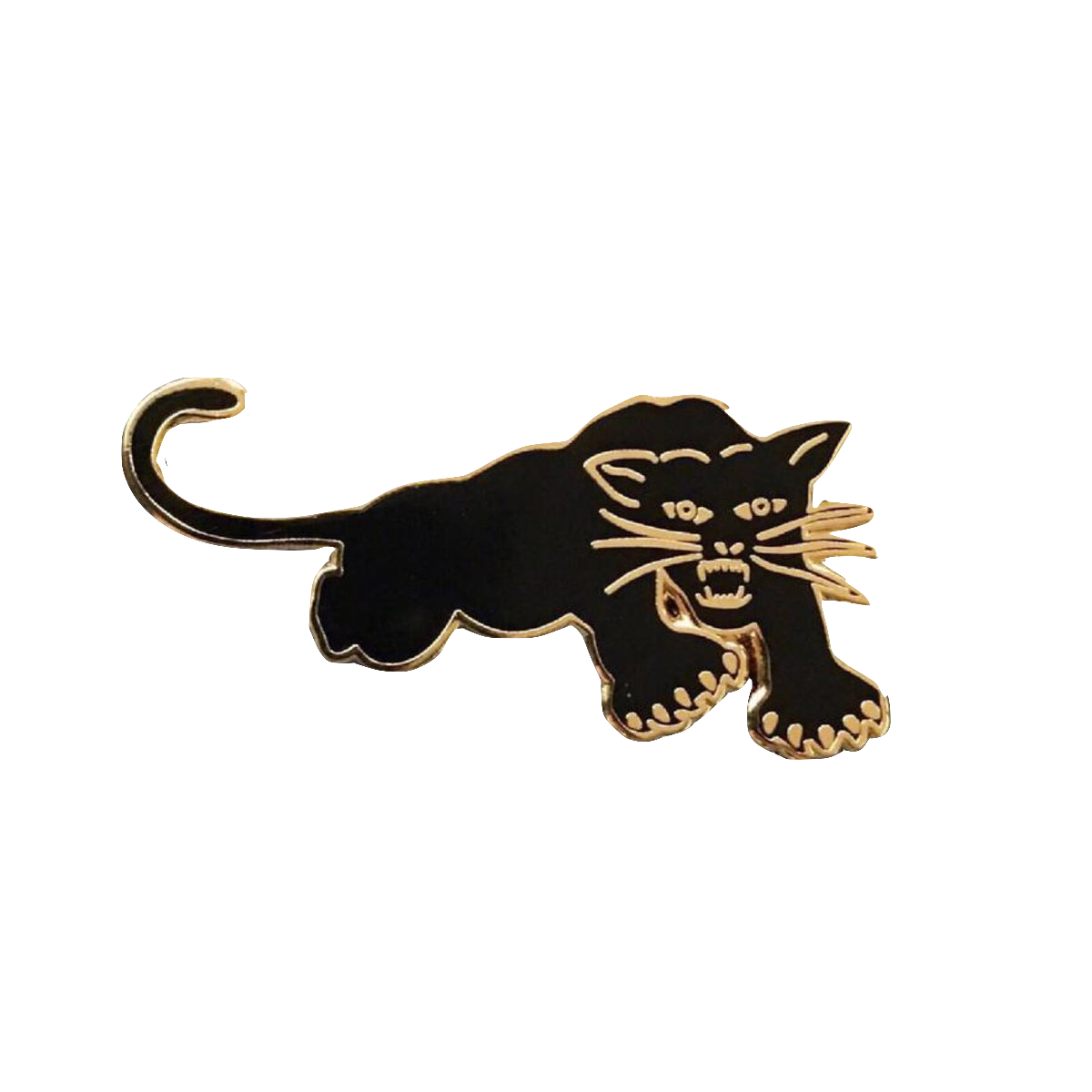 BLACK PANTHER PARTY - RADICAL DREAMS LAPEL PIN
