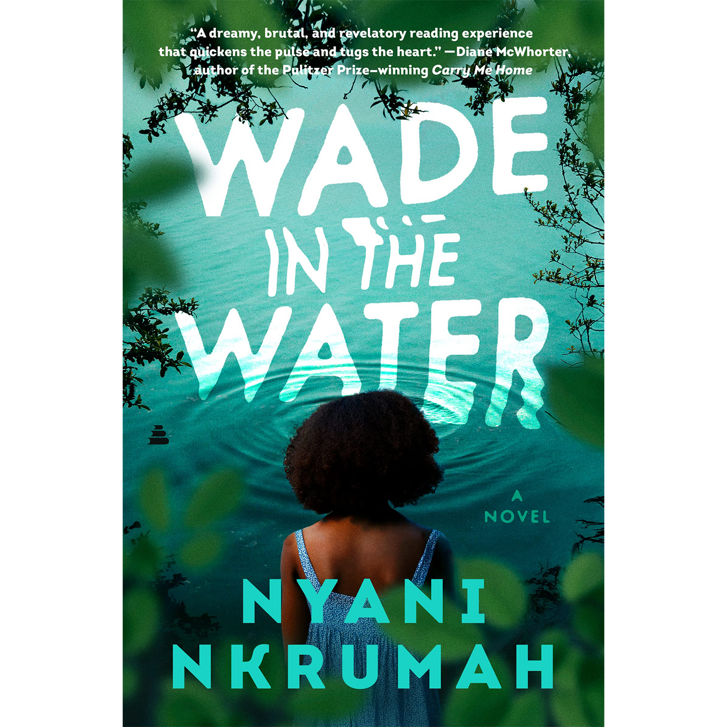 Wade in the Water: A Novel