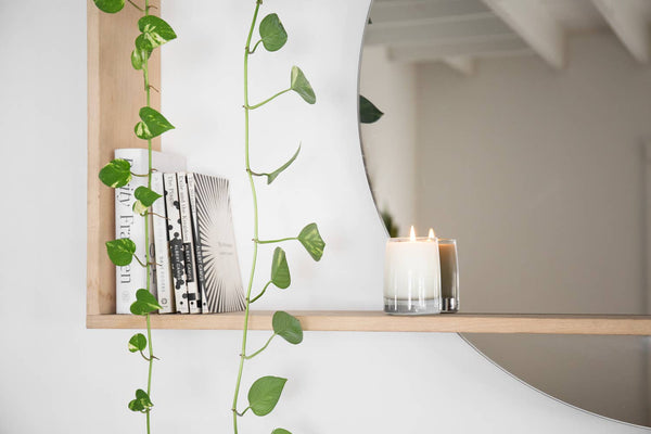 YIELD | 8 oz Coquina Candle
