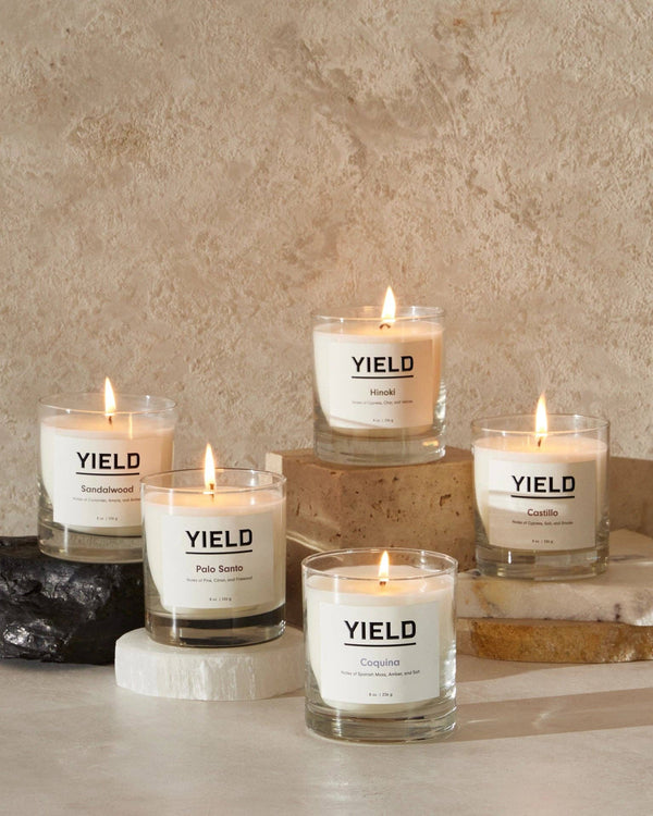 YIELD | 8oz Candle- Chamomile