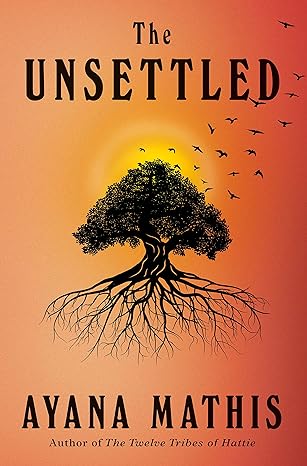 The Unsettled: A novel  | Hardcover