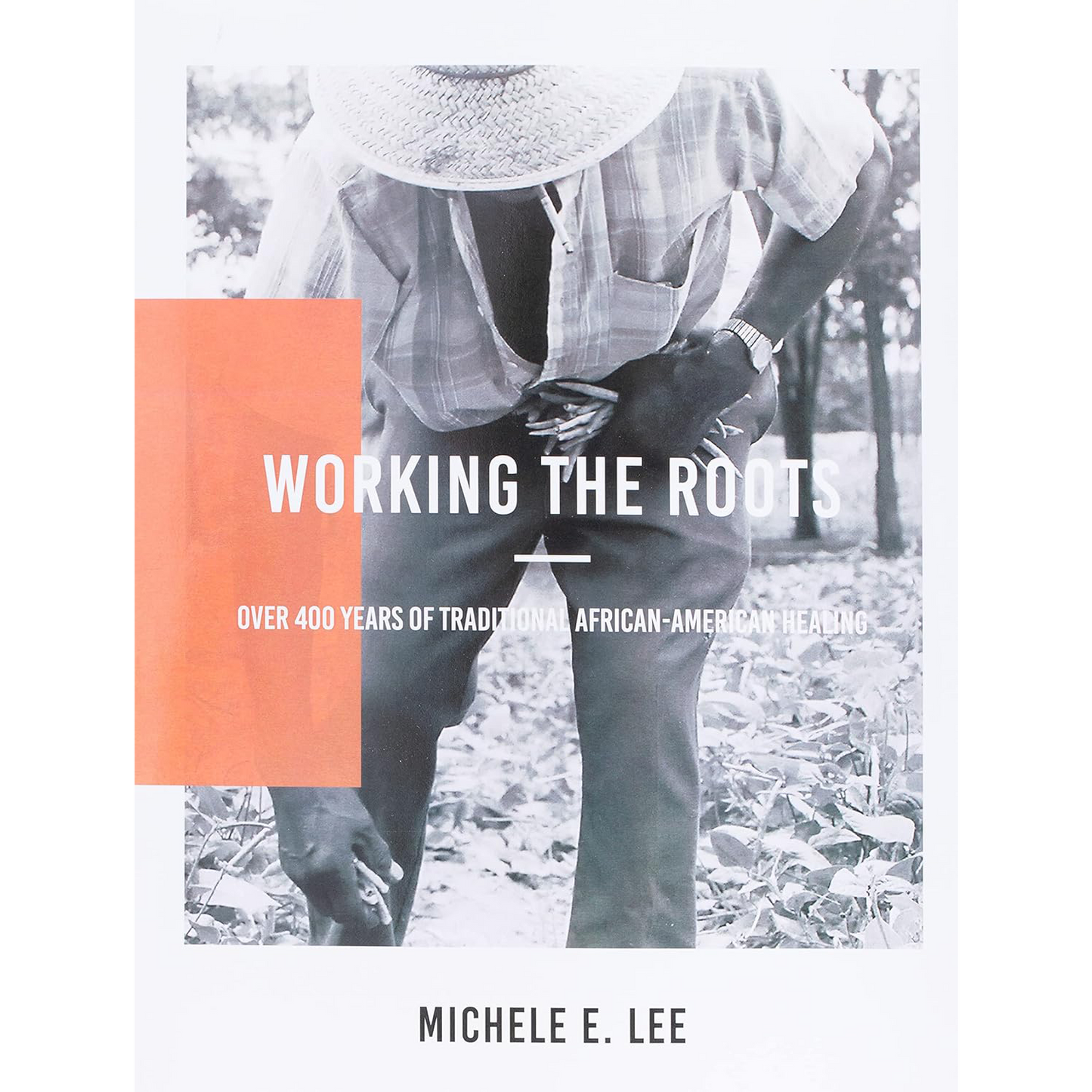 Working The Roots: Over 400 Years of Traditional African American Healing | Paperback