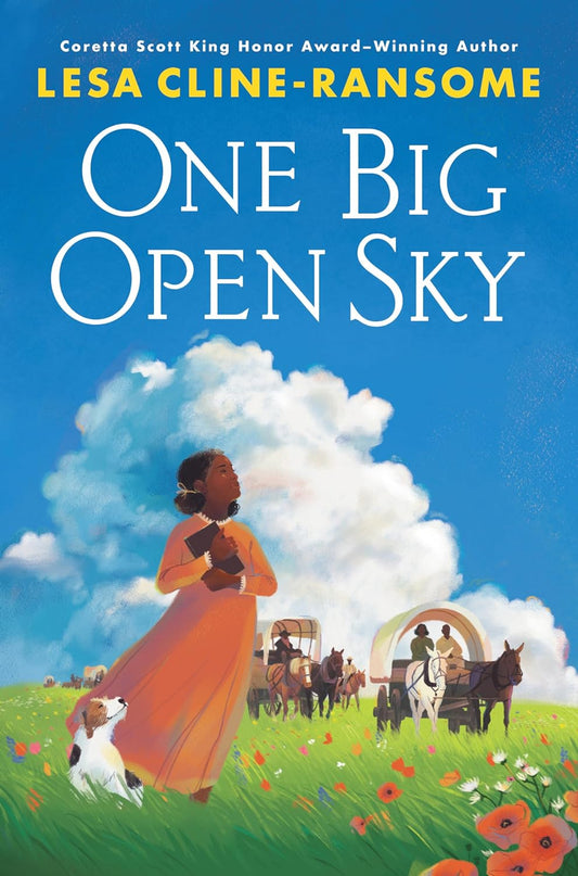 One Big Open Sky | Hardcover