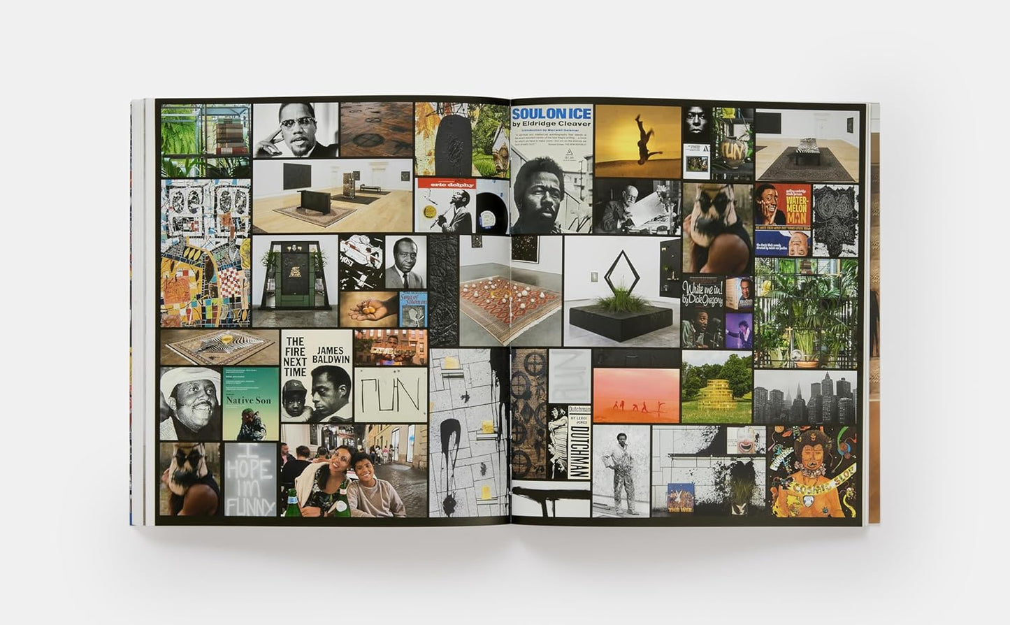 Rashid Johnson (Phaidon Contemporary Artists Series) | Paperback