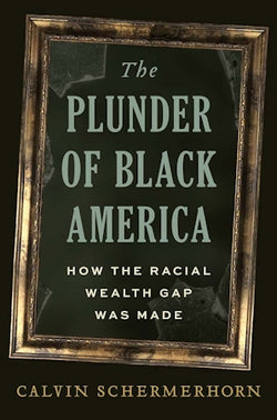 The Plunder of Black America: How The Racial Wealth Gap Was Made | Hardcover