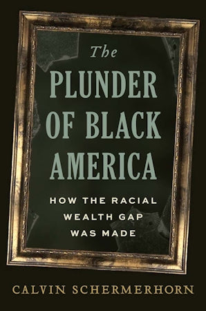 The Plunder of Black America: How The Racial Wealth Gap Was Made | Hardcover