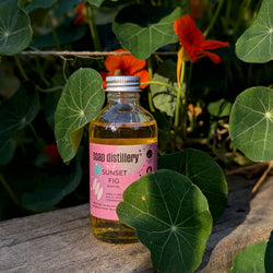 Soap Distillery | Sunset Fig Botanical Body Oil