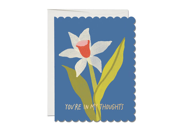 Red Cap Cards | Scalloped Daffodil sympathy greeting card