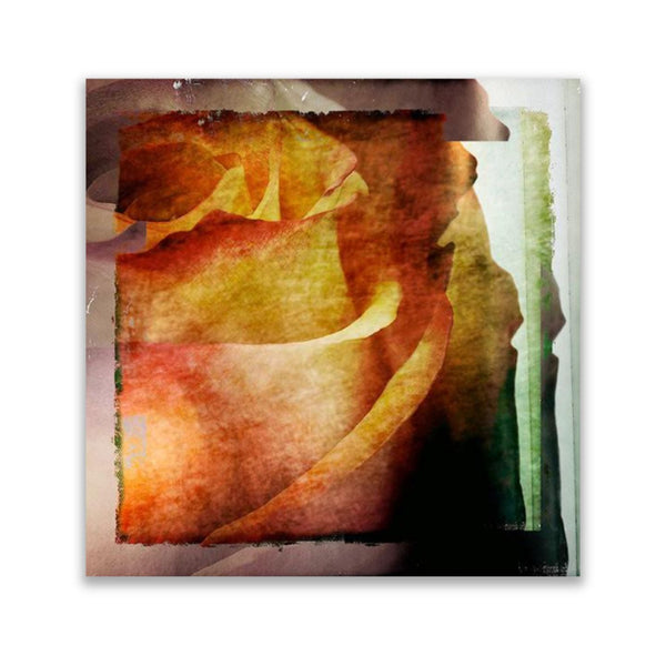 Isabelle Gougenheim Designs | Scarf