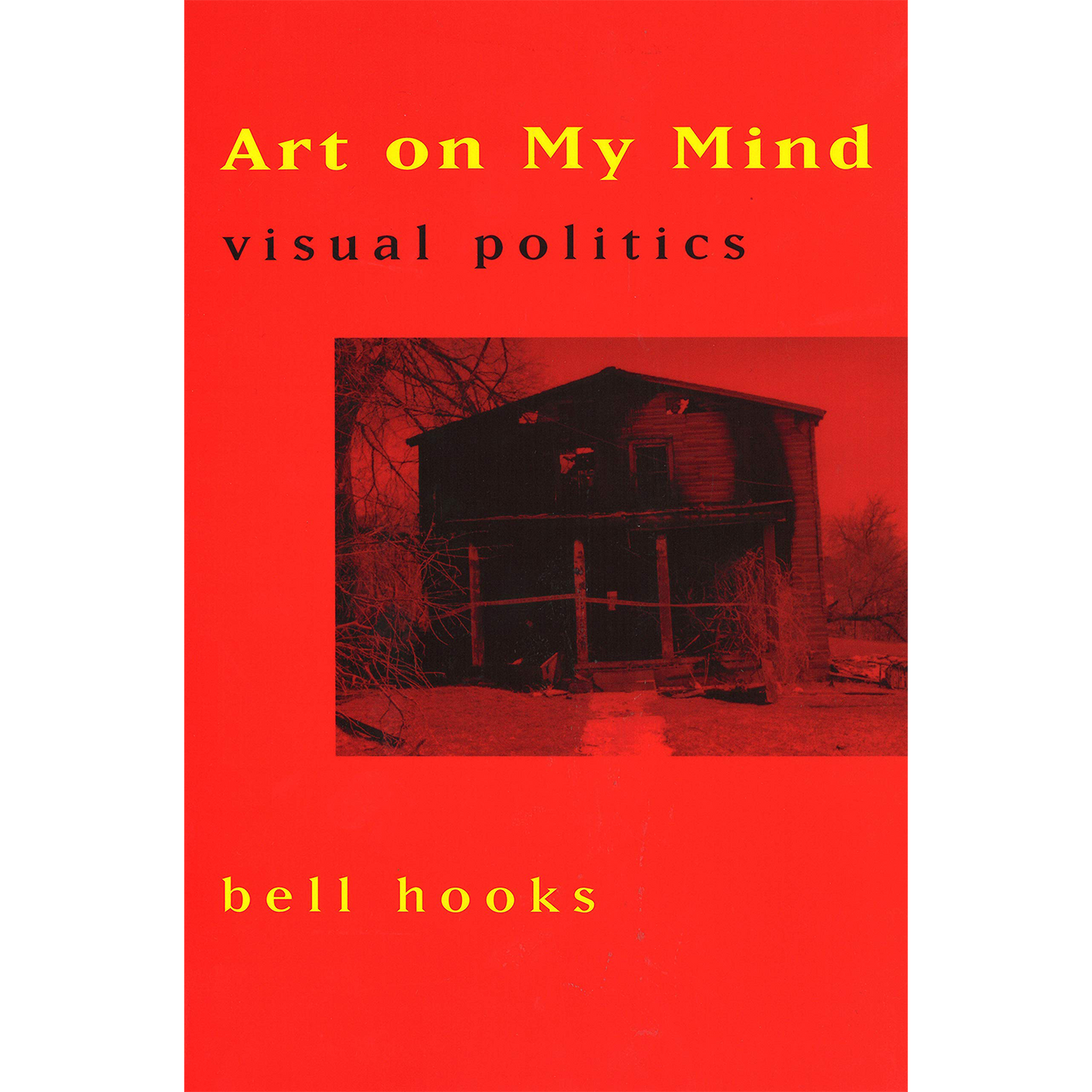 Art on My Mind: Visual Politics