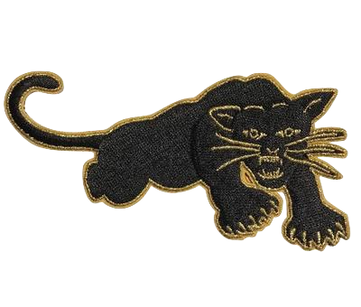 Black Panther Party Patch