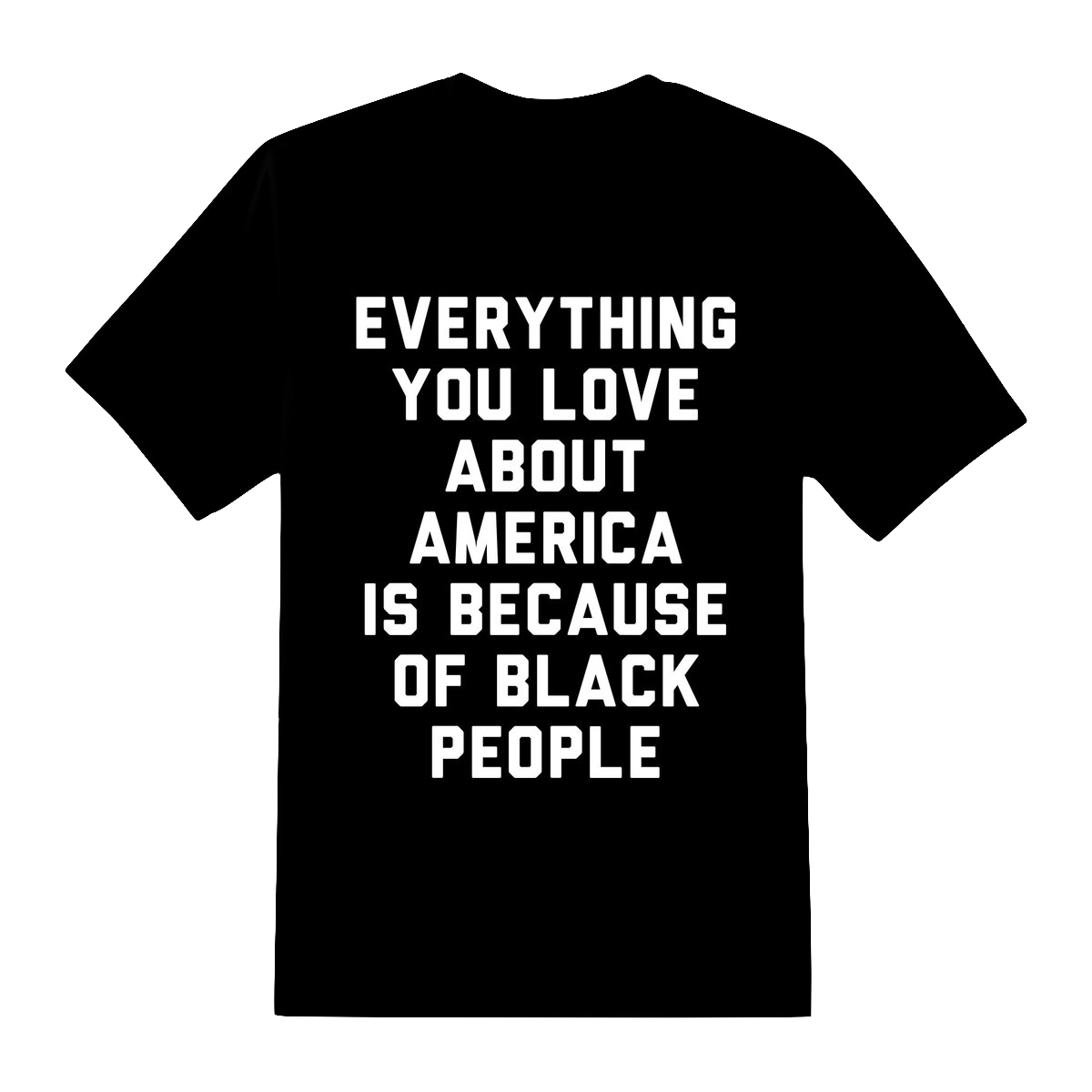 Everything You Love about America Unisex T-Shirt
