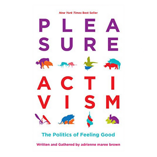 Pleasure Activism (Paperback)