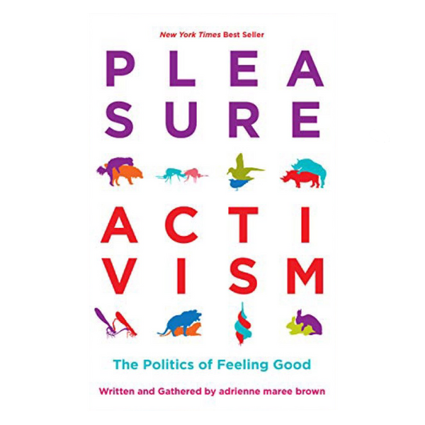 Pleasure Activism (Paperback)