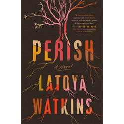 Perish: A Novel