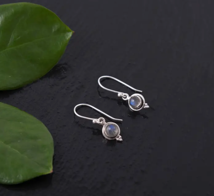 Silver circle stone drop earrings - SSE130