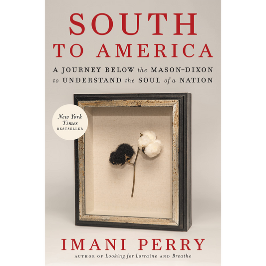 South to America: A Journey Below the Mason-Dixon to Understand the Soul of a Nation