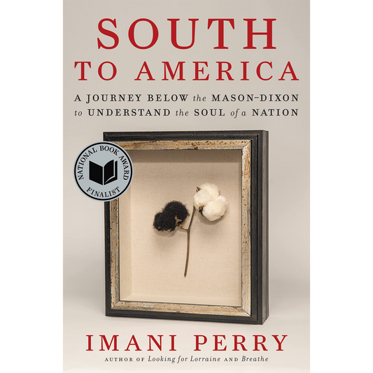 South to America: A Journey Below the Mason-Dixon to Understand the Soul of a Nation (Hardcover)