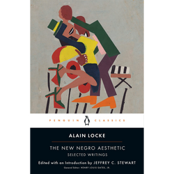 The New Negro Aesthetic: Selected Writings (Paperback)