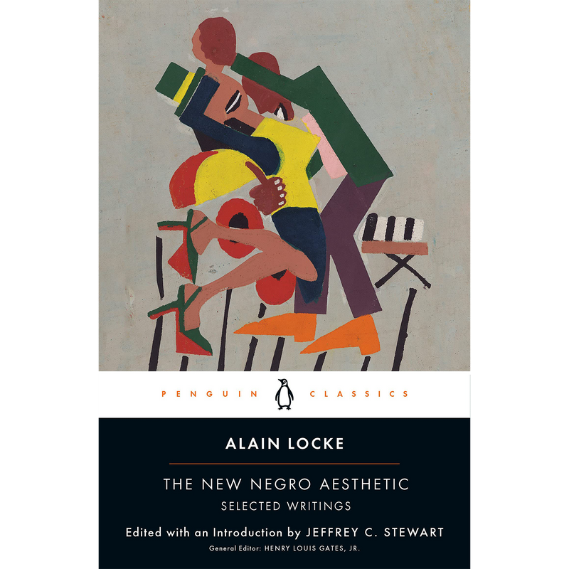 The New Negro Aesthetic: Selected Writings (Paperback)