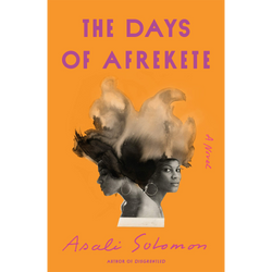 The Days of Afrekete: A Novel (Hardcover)