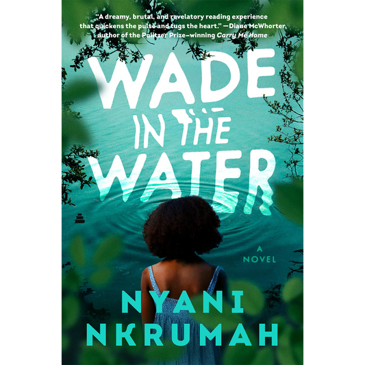 Wade in the Water: A Novel