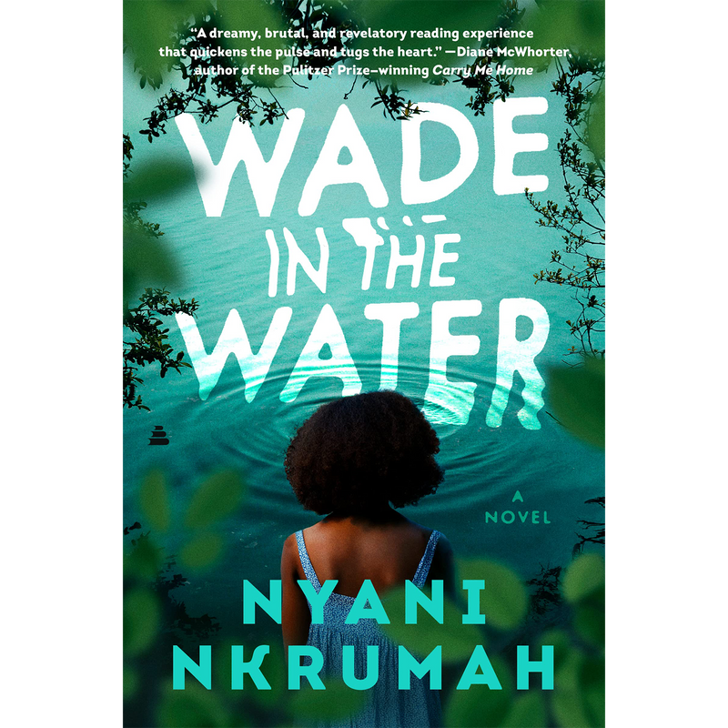 Wade in the Water: A Novel