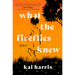 What the Fireflies Knew: A Novel (Hardcover)