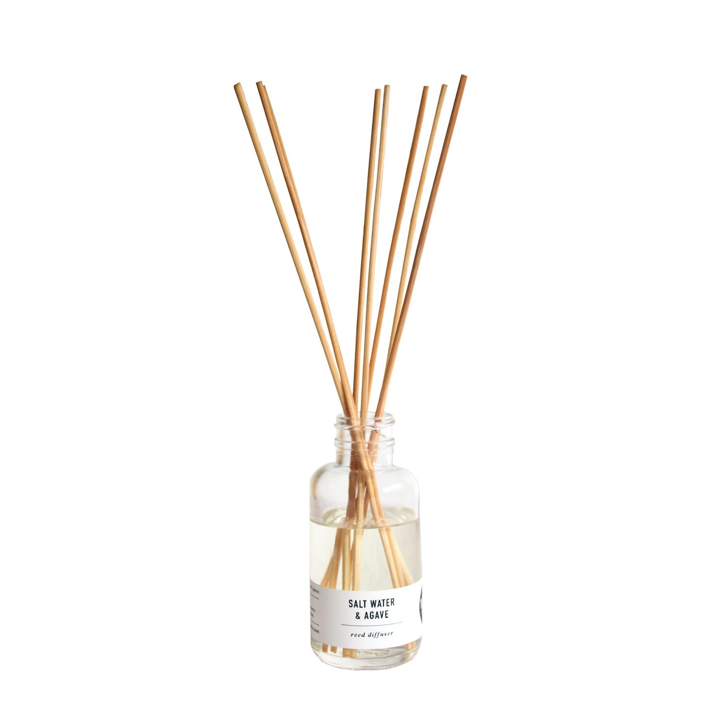 Salt Water & Agave Reed Diffuser